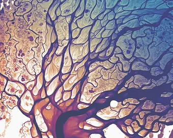 Dan Coe's maps